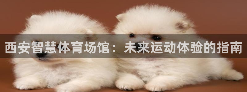 尊龙 国外