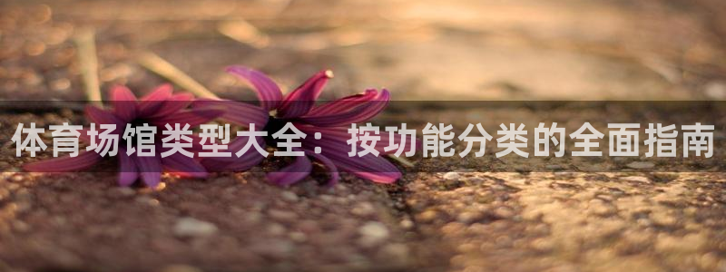 尊龙凯时老板