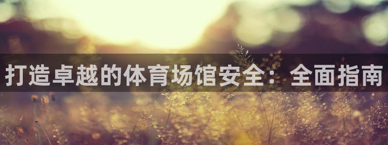 凯时国际网站域名