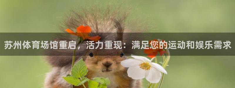 尊龙目前在哪