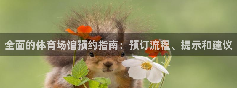 尊龙凯时不朽情缘：全面的体育场馆预约指南：预订流程、提示和建