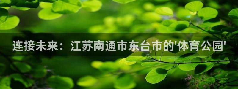 尊龙手机端下载