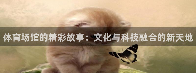 尊龙人生就是博用现金玩一下