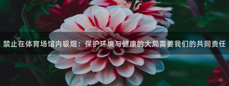 尊龙人生就是博登陆
