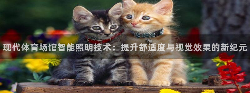 尊龙网平台