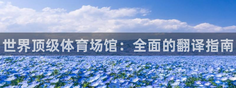 尊龙凯时ag旗舰厅：世界顶级体育场馆：全面的翻译指南