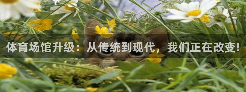 尊龙凯时可以提现吗