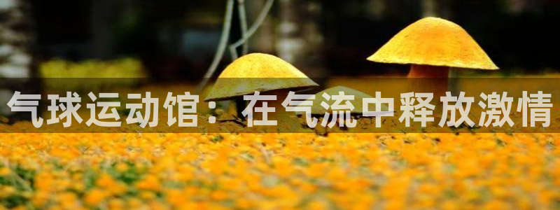 尊龙人生就是博AG旗舰厅