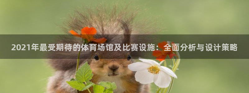 K66凯时国际平台官网